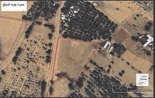 اعلان تسويقي